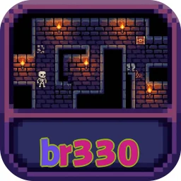 br330